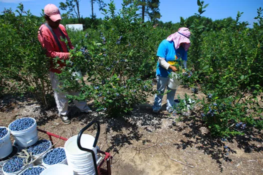 Farmworker-lawsuit.jpg